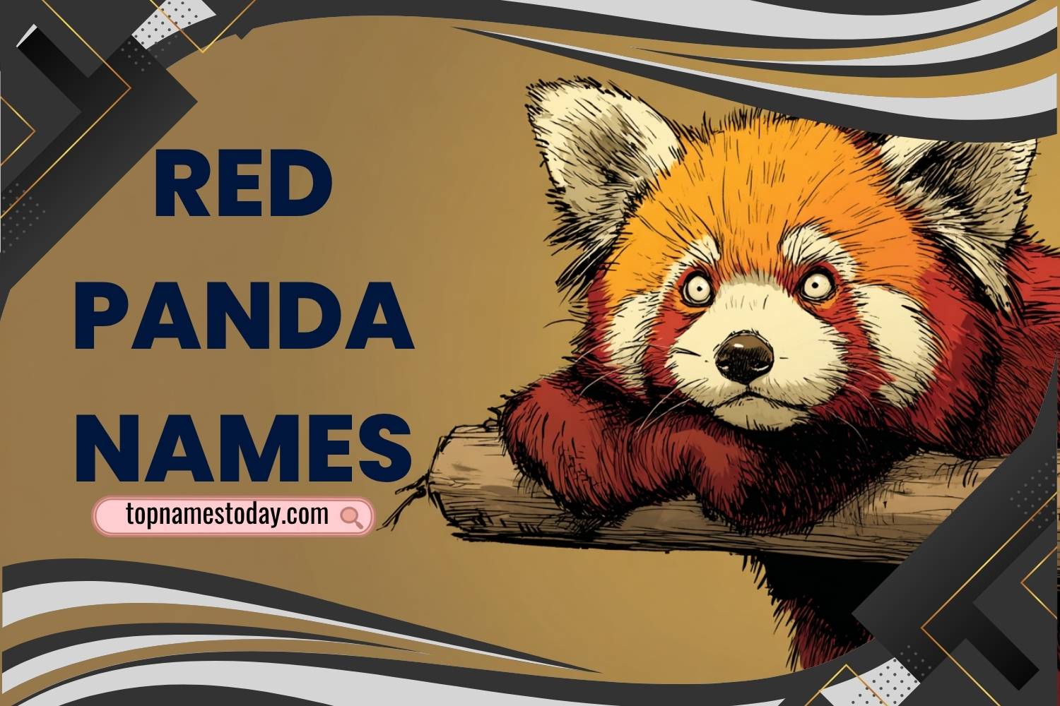 red panda names