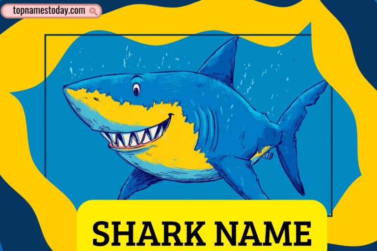 shark name