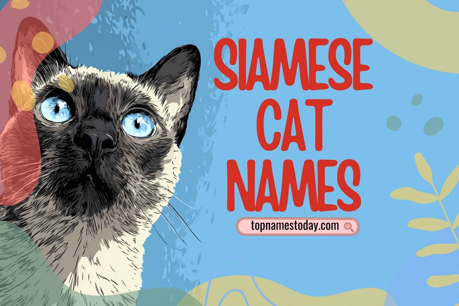 siamese cat names