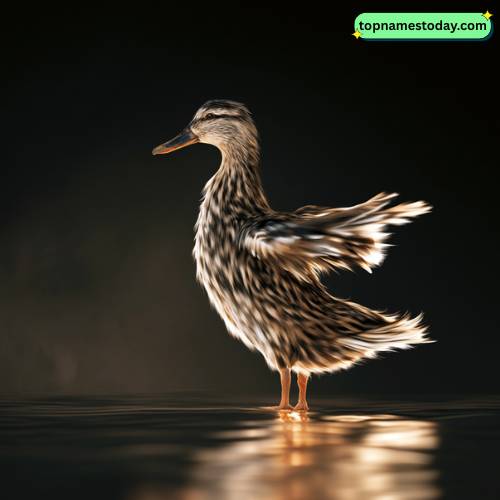 Female Duck Names
