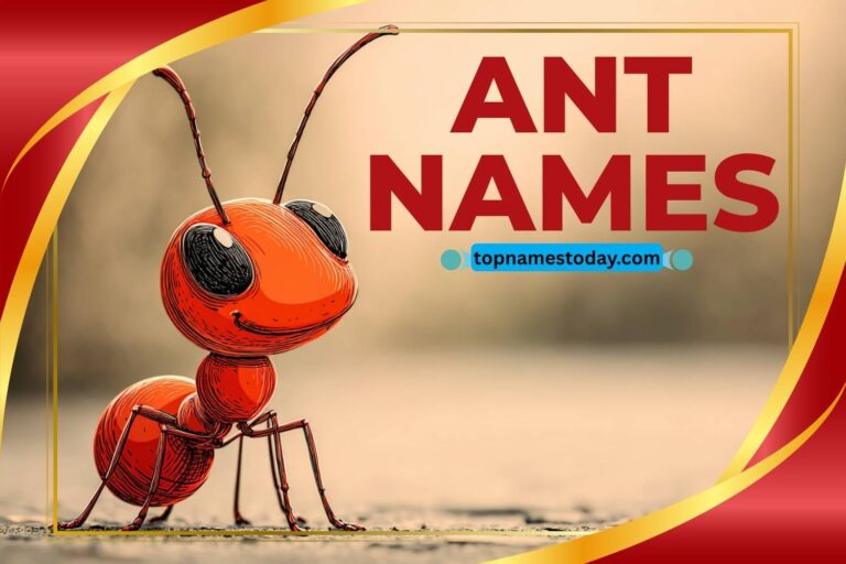 ant names