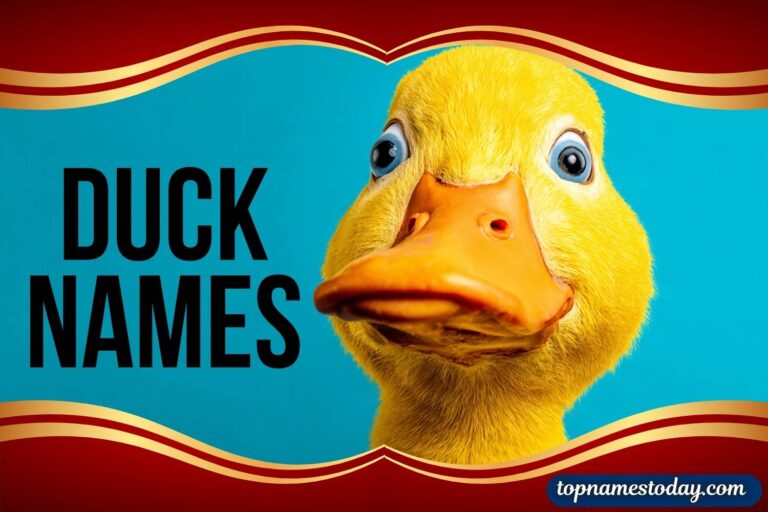 duck names
