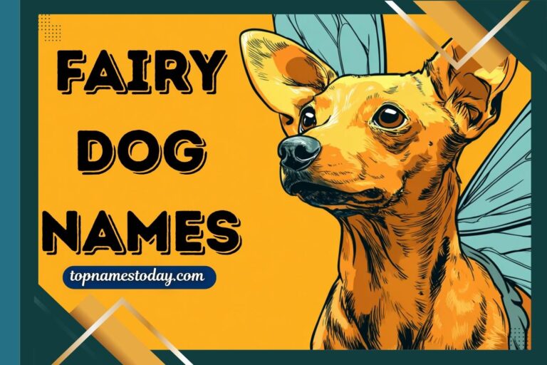 fairy dog names