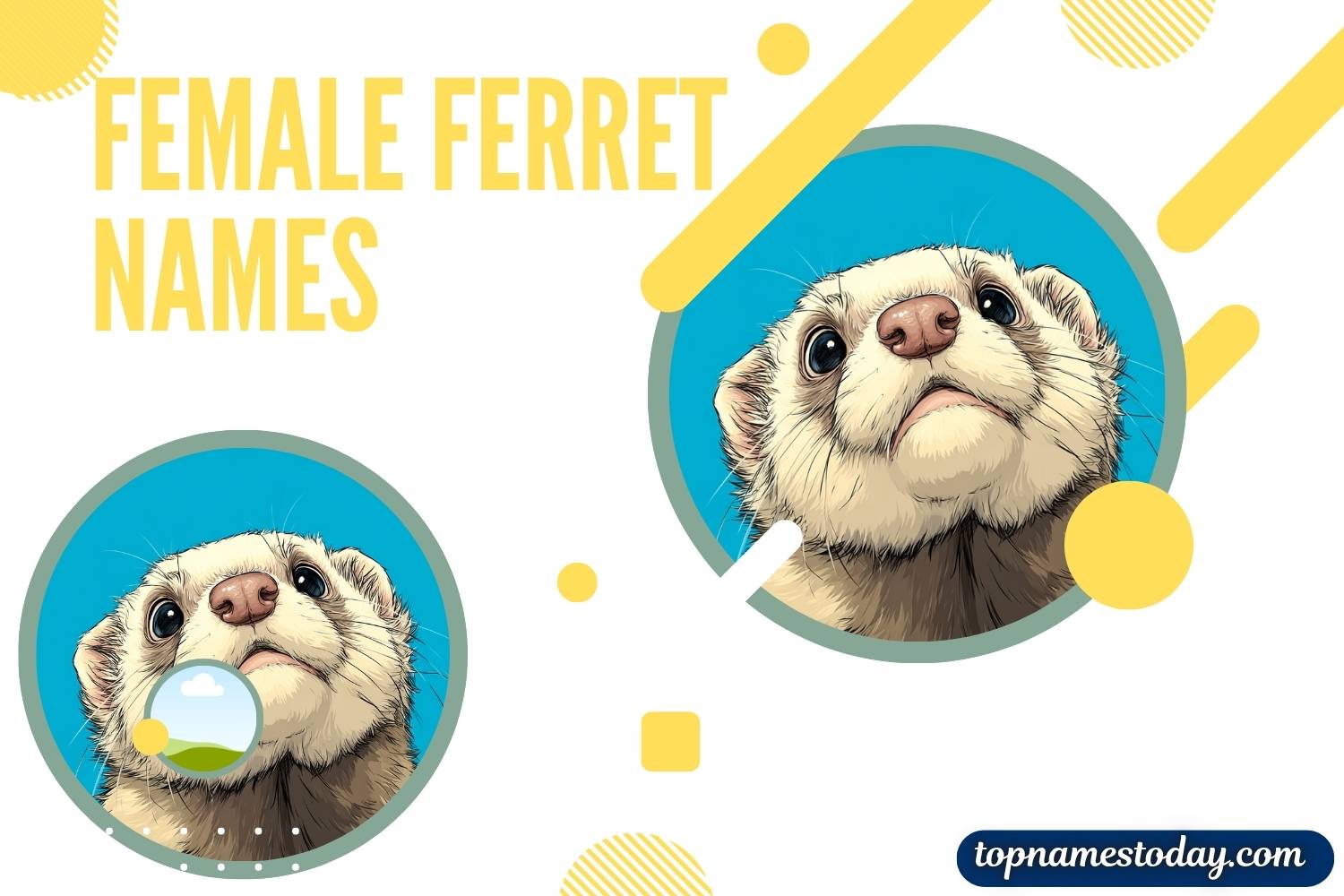 female ferret names
