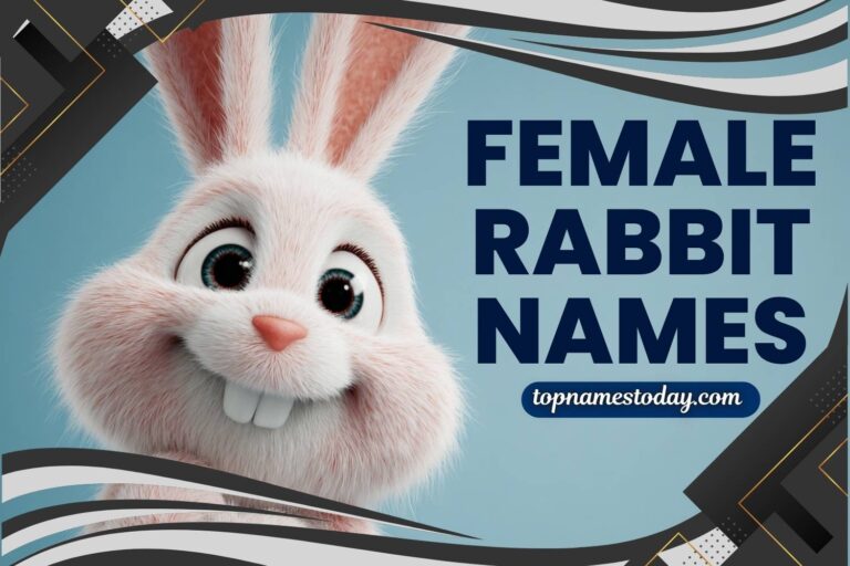 female rabbit names