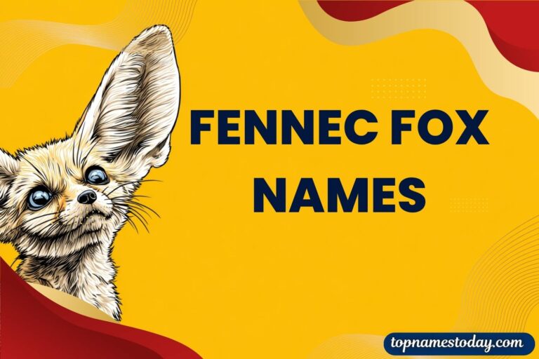 fennec fox names