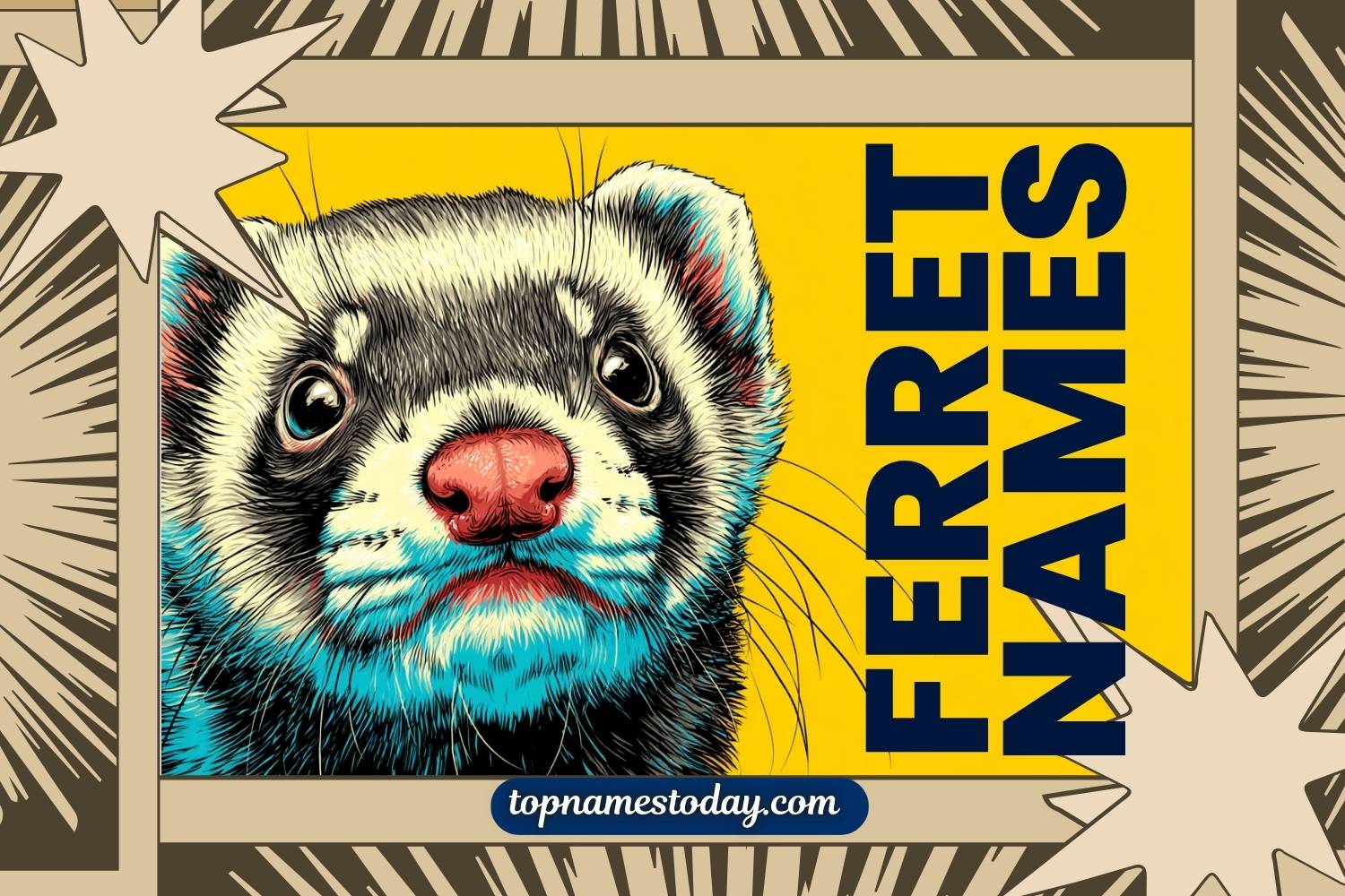 ferret names