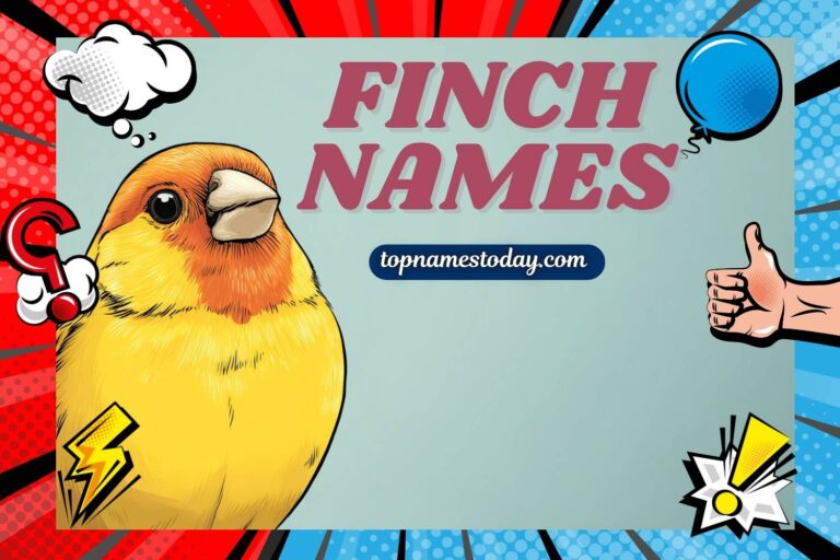 finch names