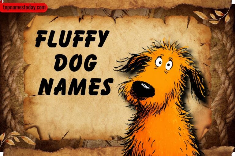 fluffy dog names