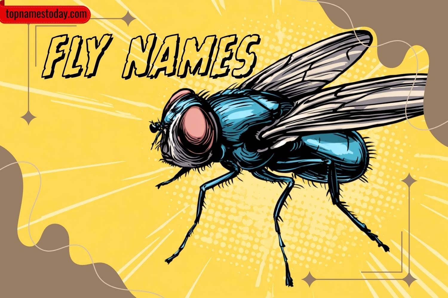 fly names
