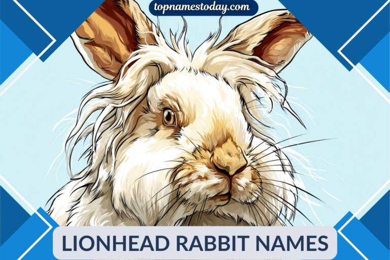 lionhead rabbit names