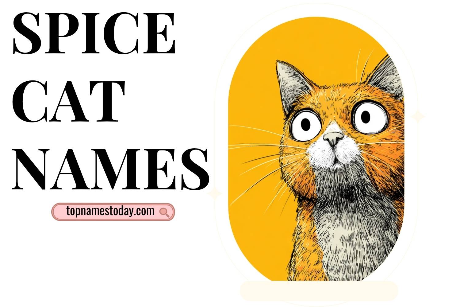 spice cat names