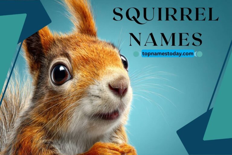 208+ Best Mouse Names for Cute, Funny, Unique & Adorable Pet Mice (2026 ...