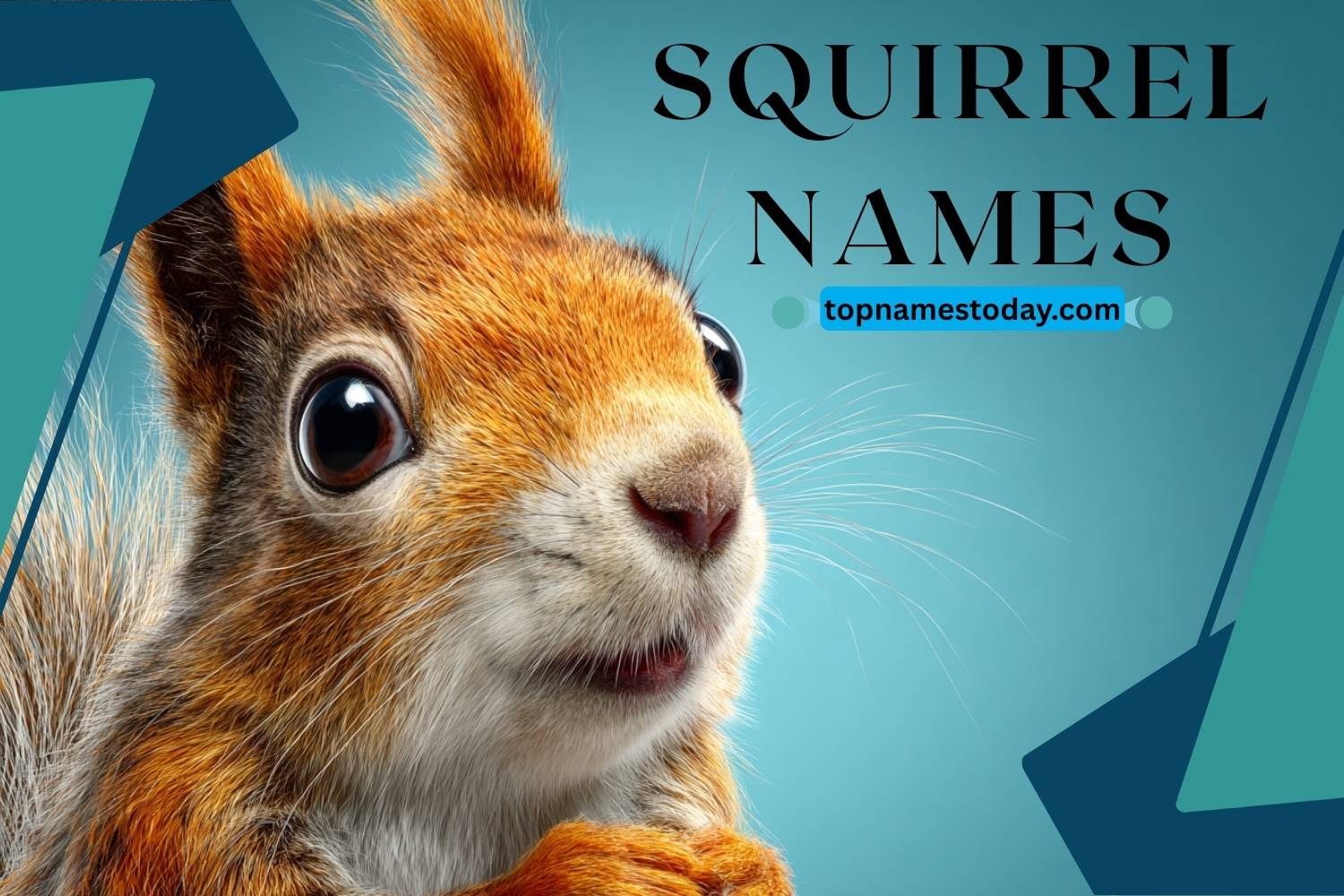 squirrel names