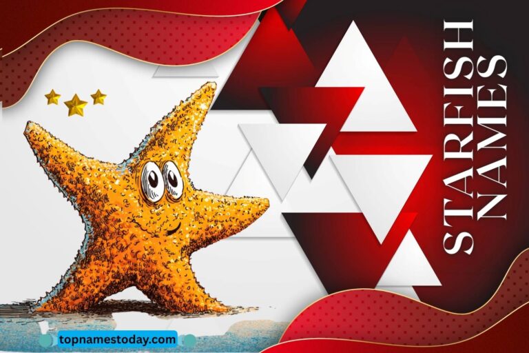 starfish names