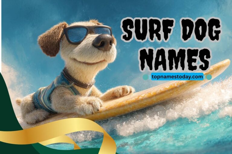 surf dog names