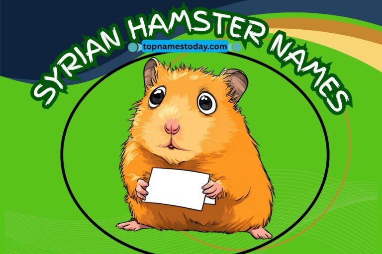 syrian hamster names
