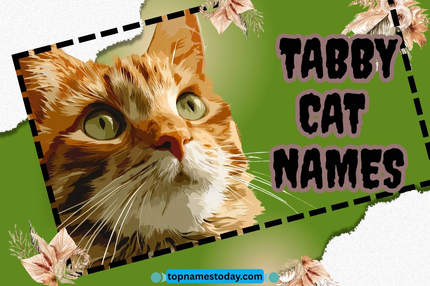 tabby cat names