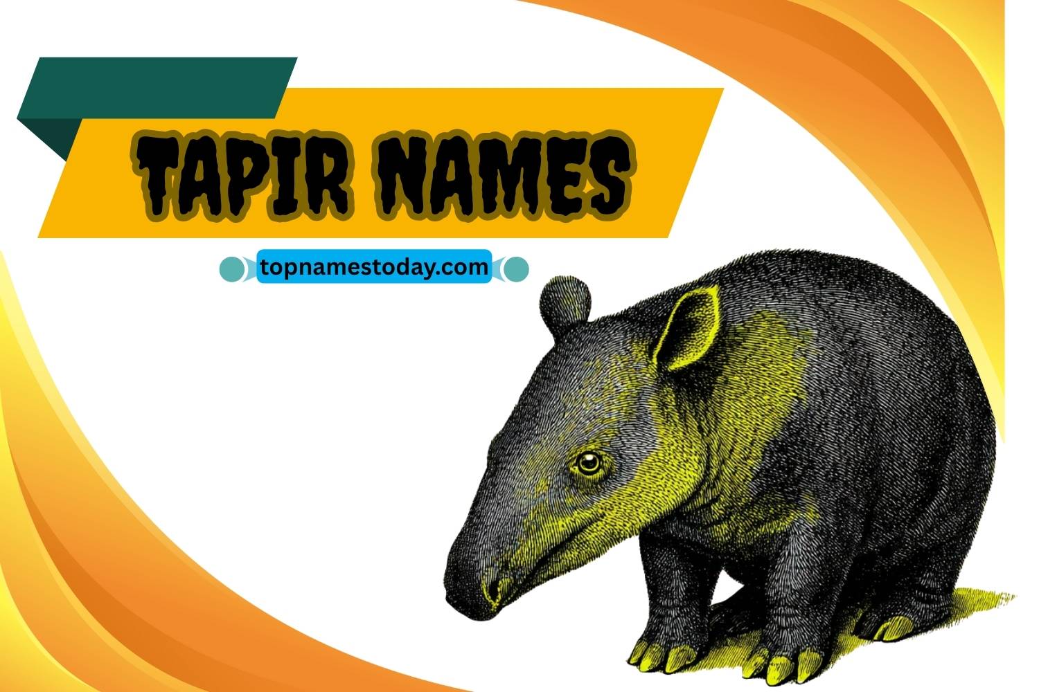 tapir names