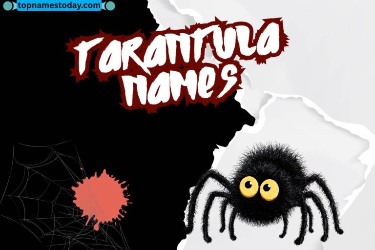 tarantula names