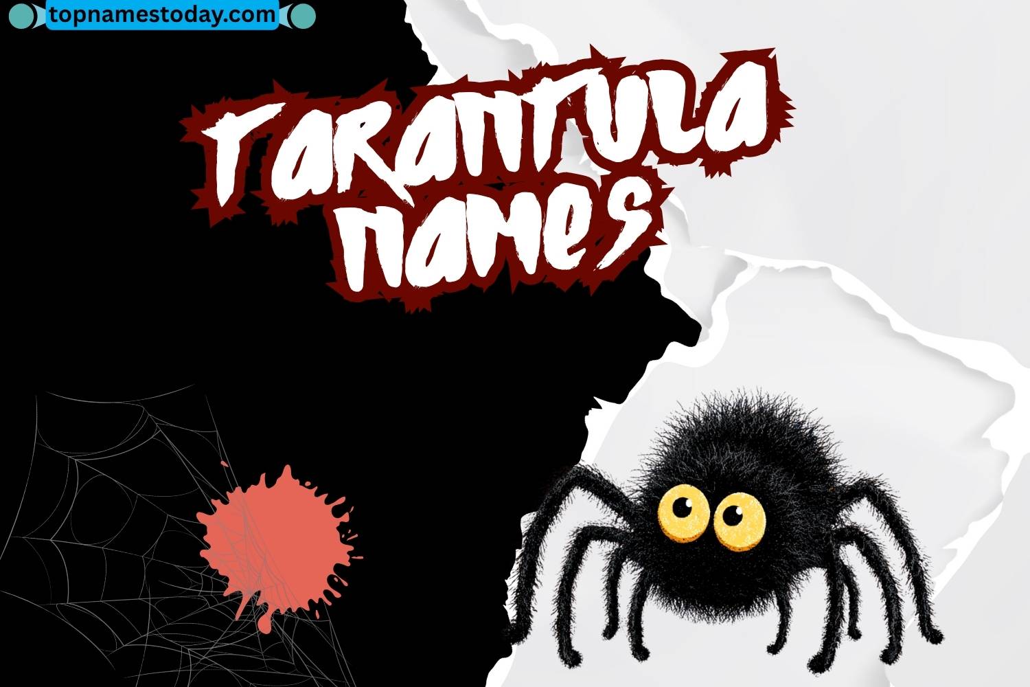 tarantula names