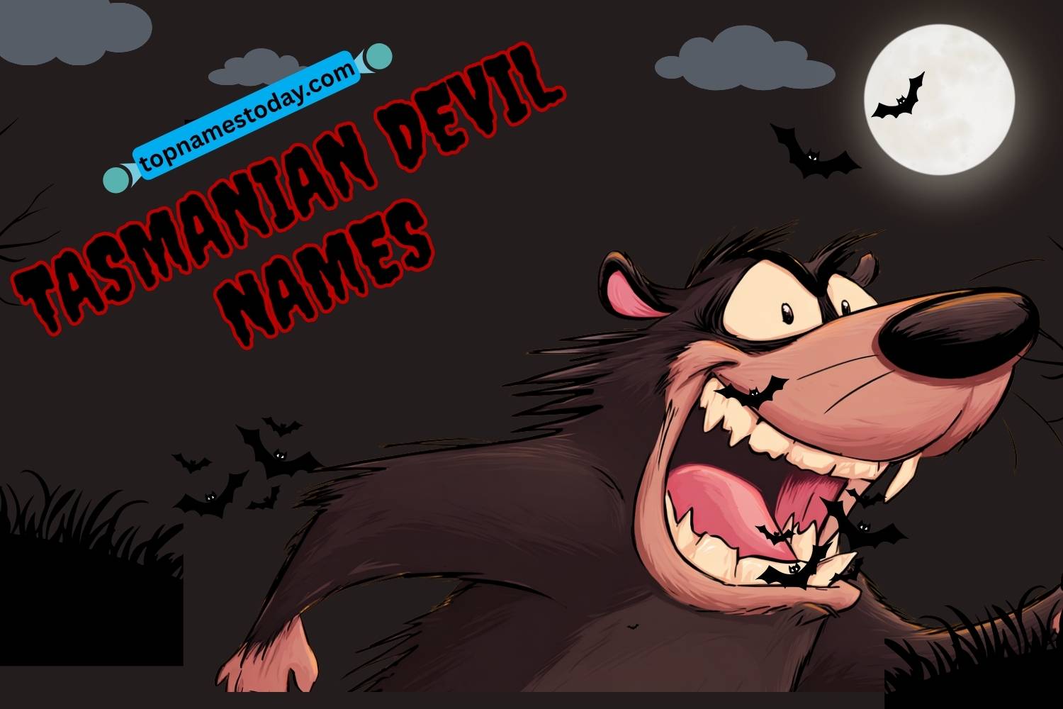tasmanian devil names