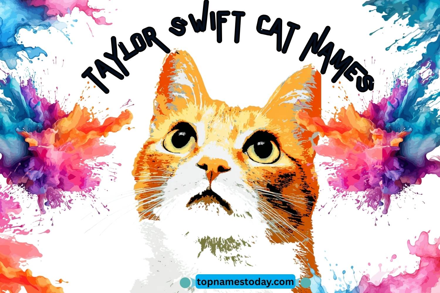 taylor swift cat names
