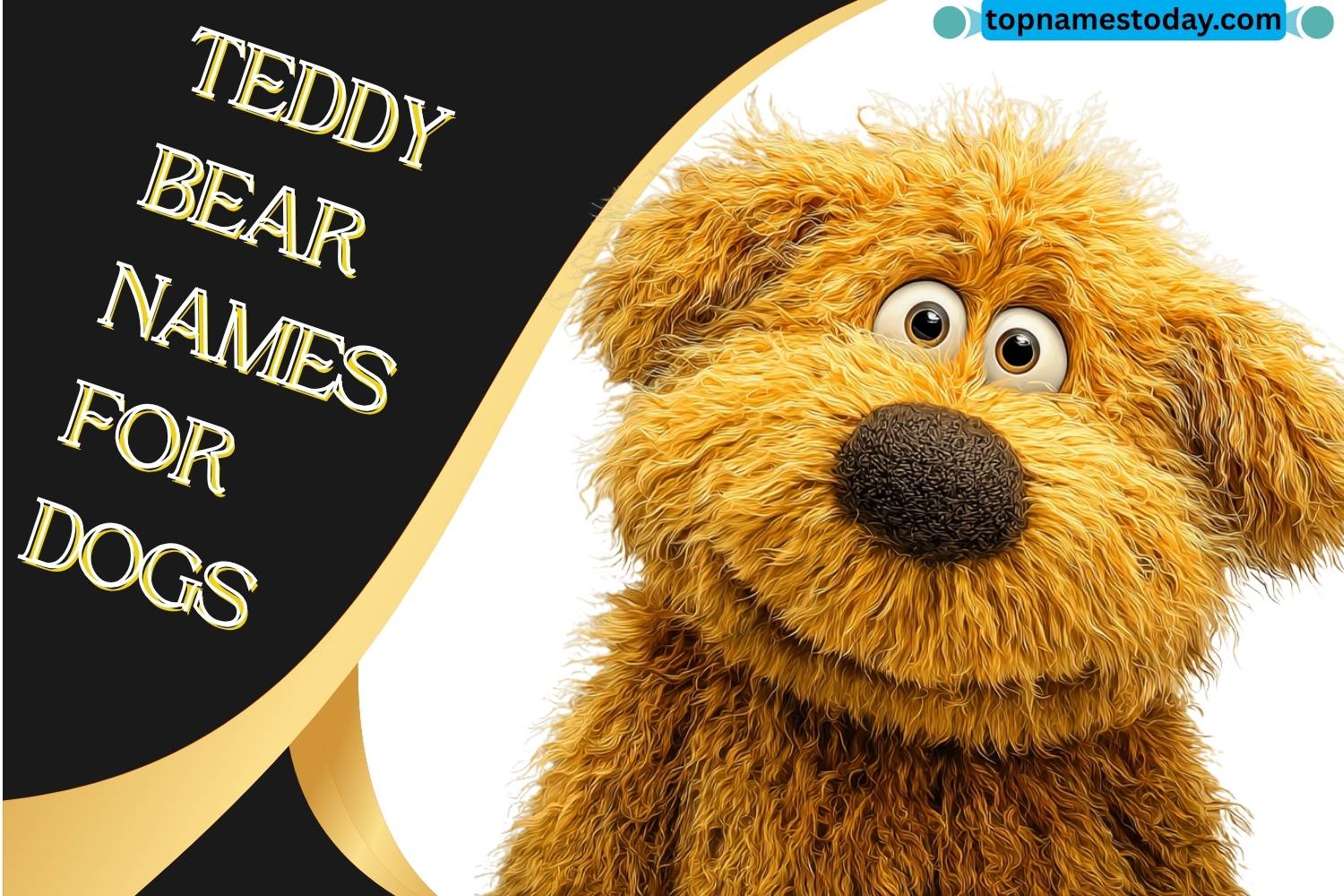 teddy bear names for dogs
