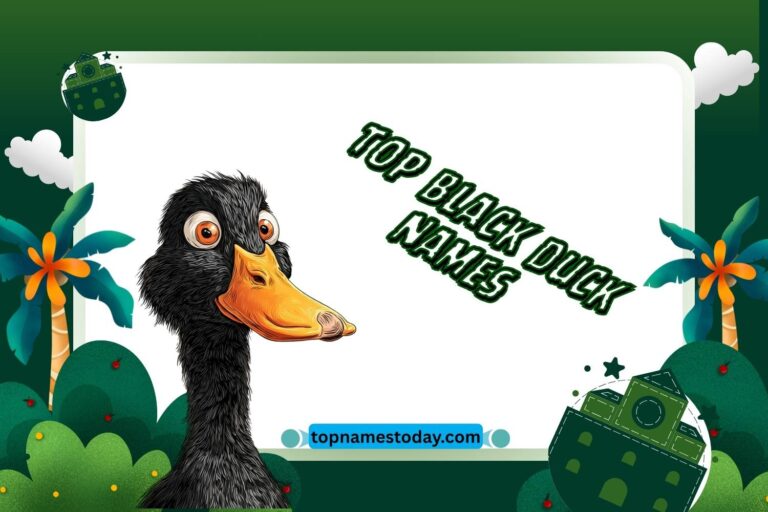 top black duck names