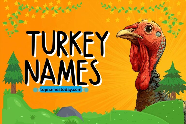 turkey names