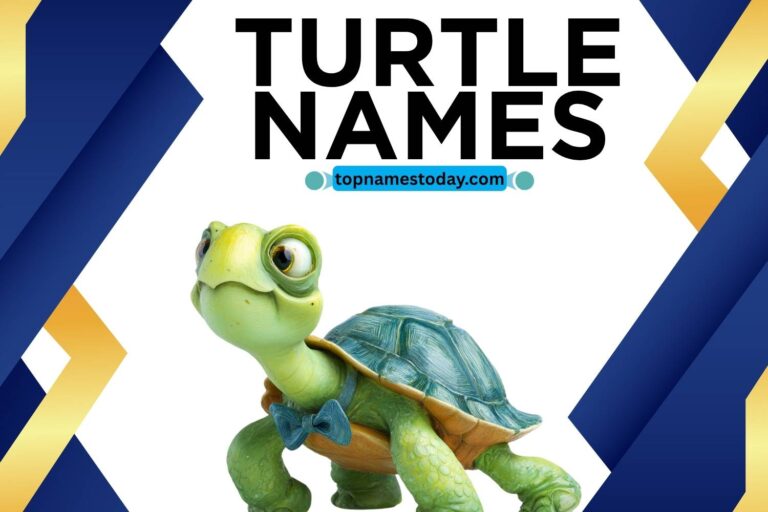 turtle names