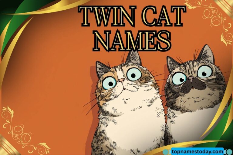 twin cat names