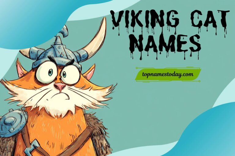 viking cat names