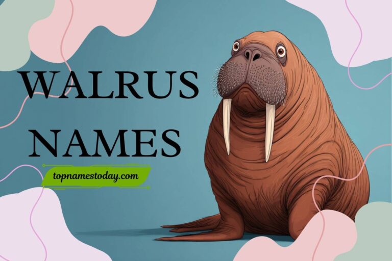 walrus names