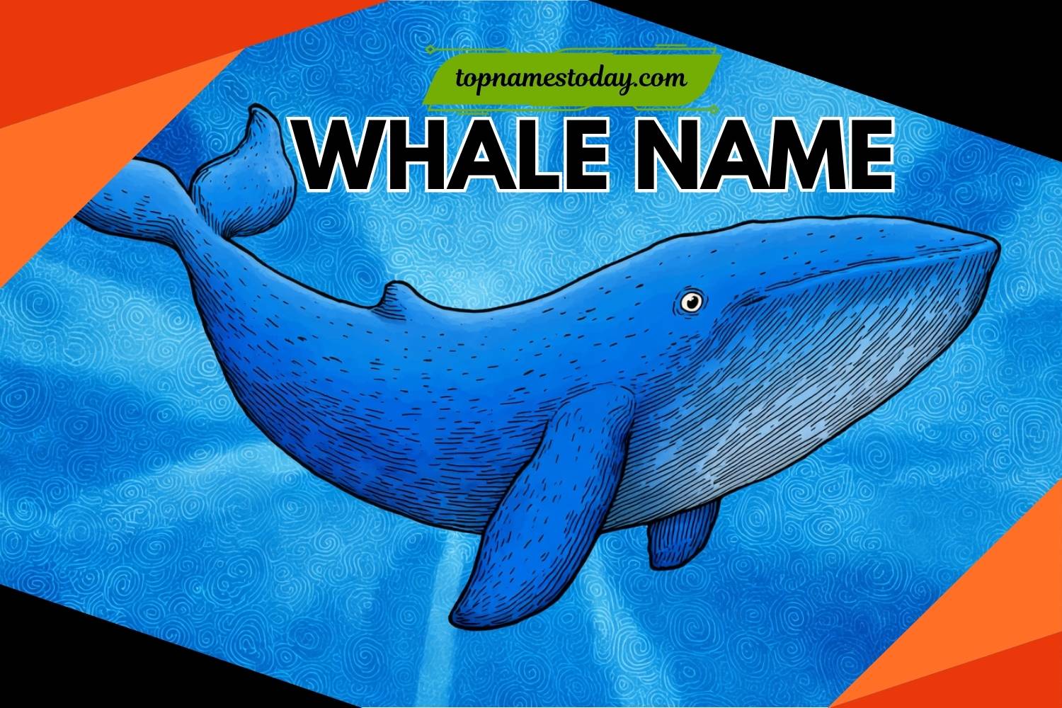 whale name