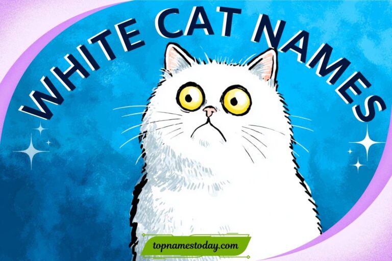 white cat names