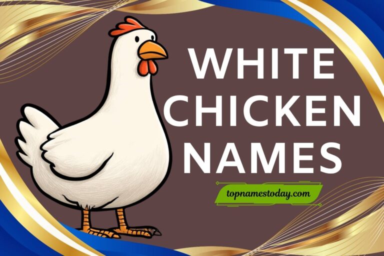 white chicken names