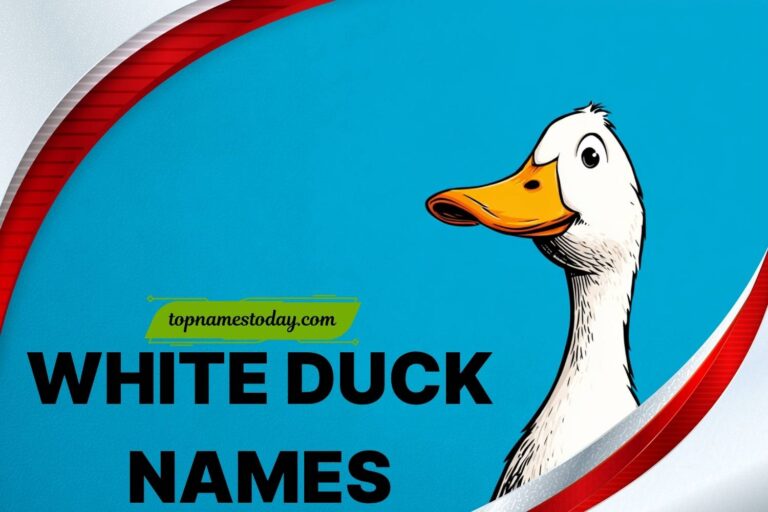 white duck names