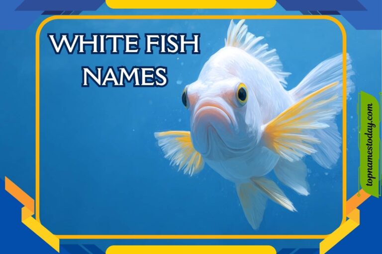 white fish names
