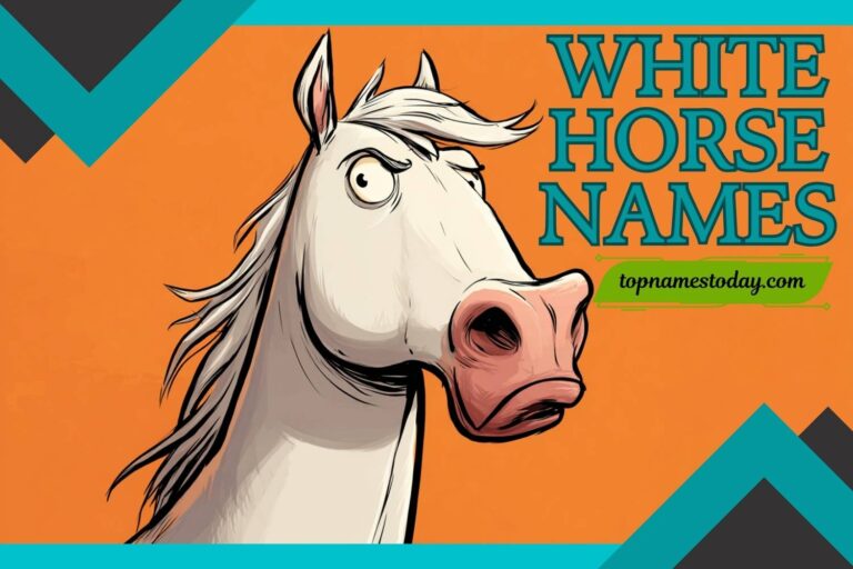 white horse names