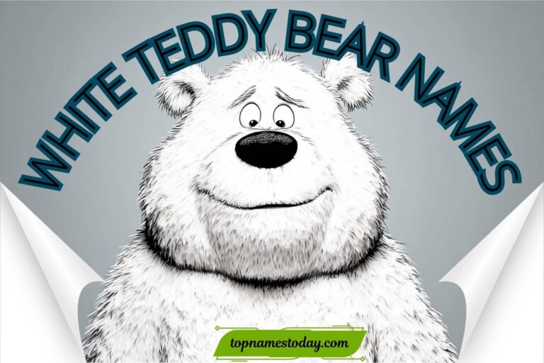 white teddy bear names