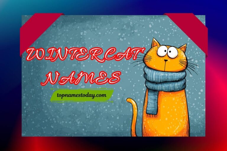 winter cat names