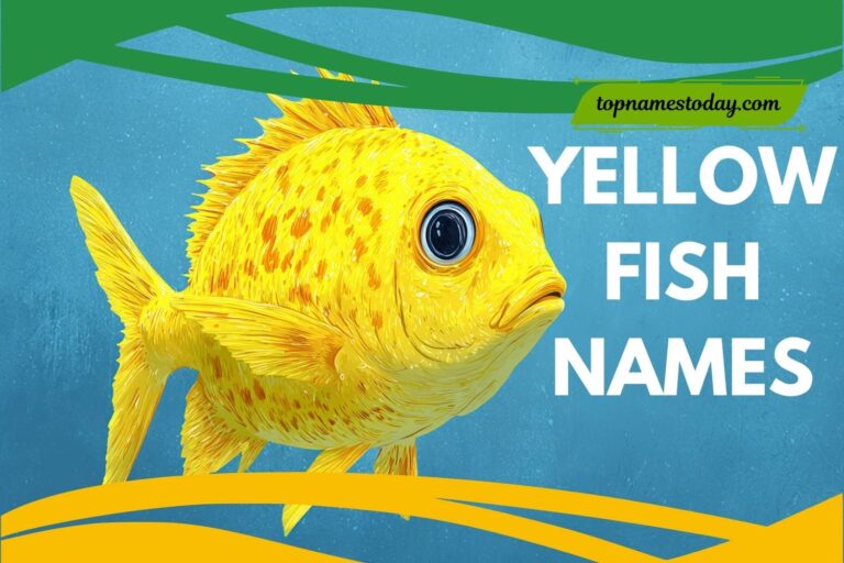 yellow fish names
