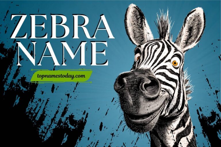 zebra name