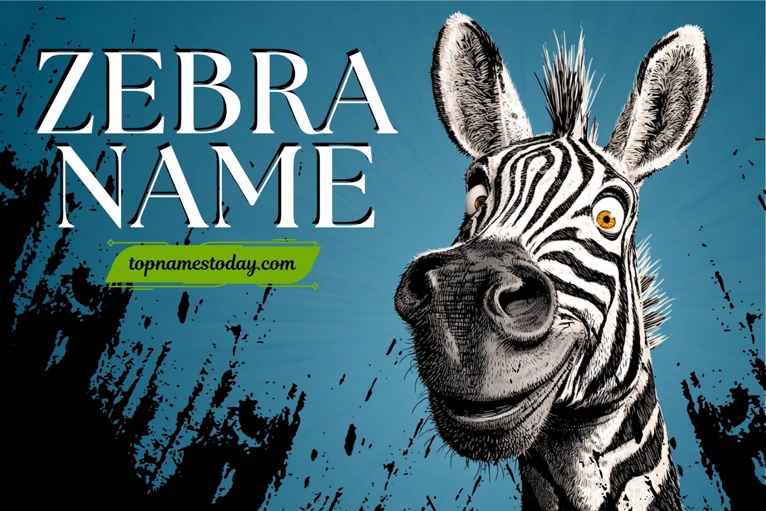 zebra name