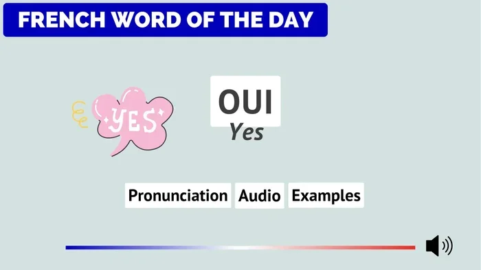 Oui Meaning Explained Discover What Oui Really Means
