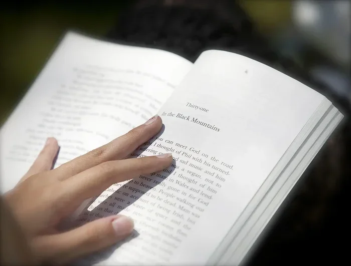 What Is Prose Meaning and Why It Matters for Readers